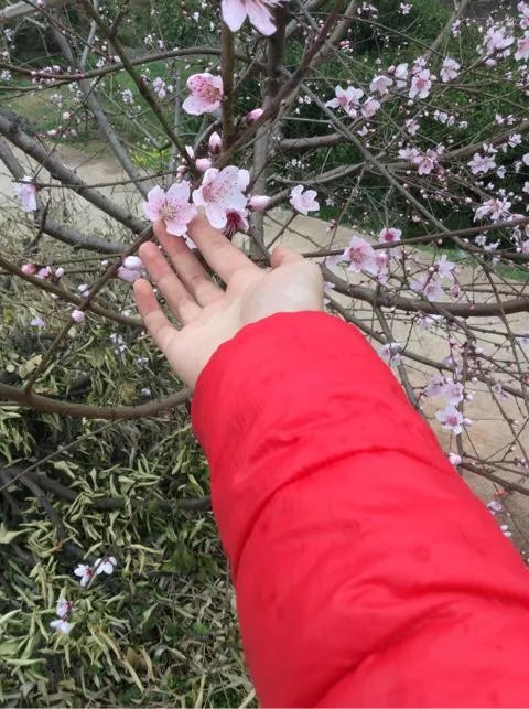 荆门有什么出名