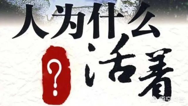 你看到过哪些神评论?