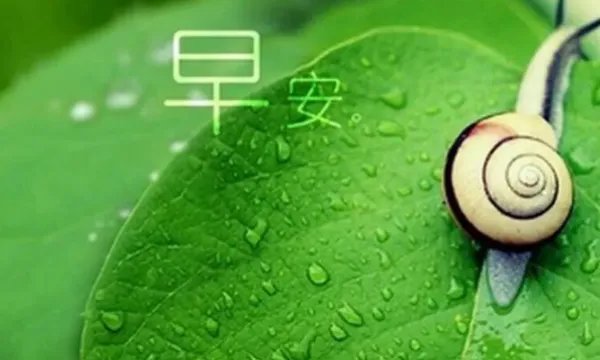 夏天早安问候语简短一句话