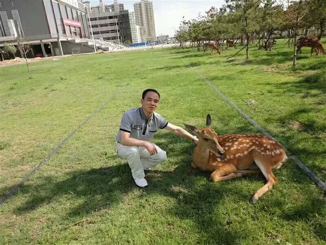 如何看待“野猪闯进南京大学校园,保卫处介入处理”?