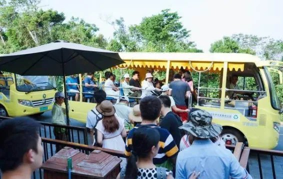 明明知道低价团很坑，为什么还很多人报名?