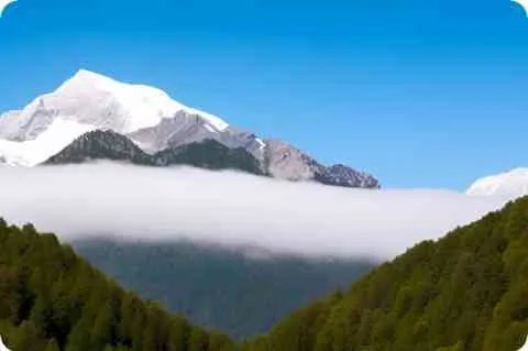 猜谜语：关于积木的谜语_谜底是积木的谜语谜底是什么？