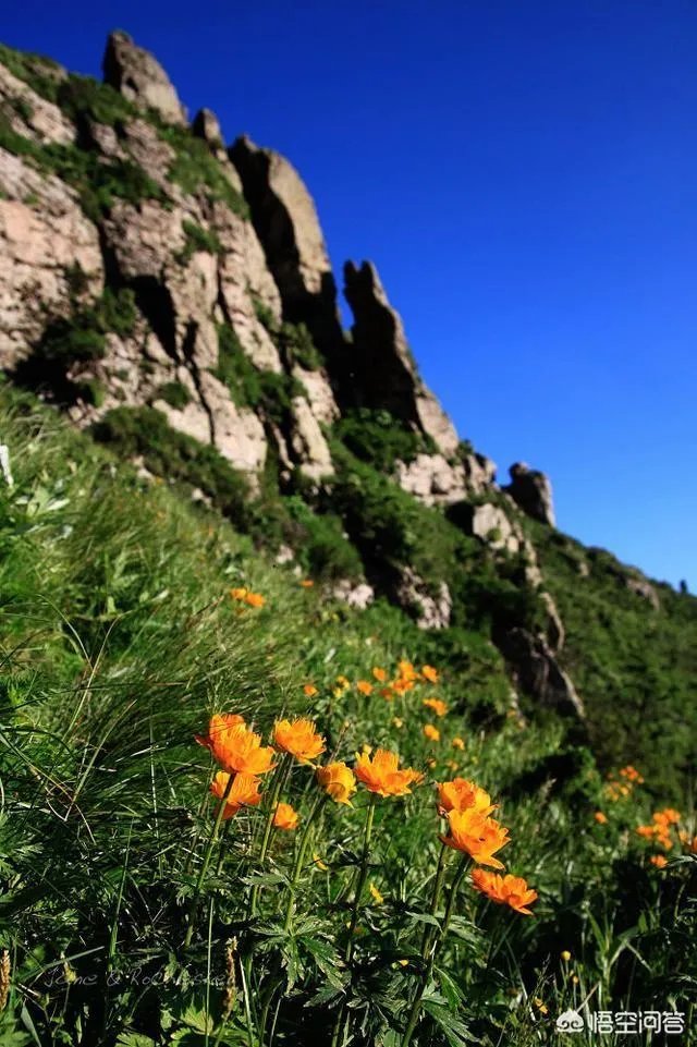 有哪些景点适合一日游？