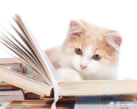 男生学什么专业好？