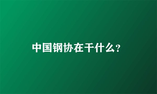 中国钢协在干什么？