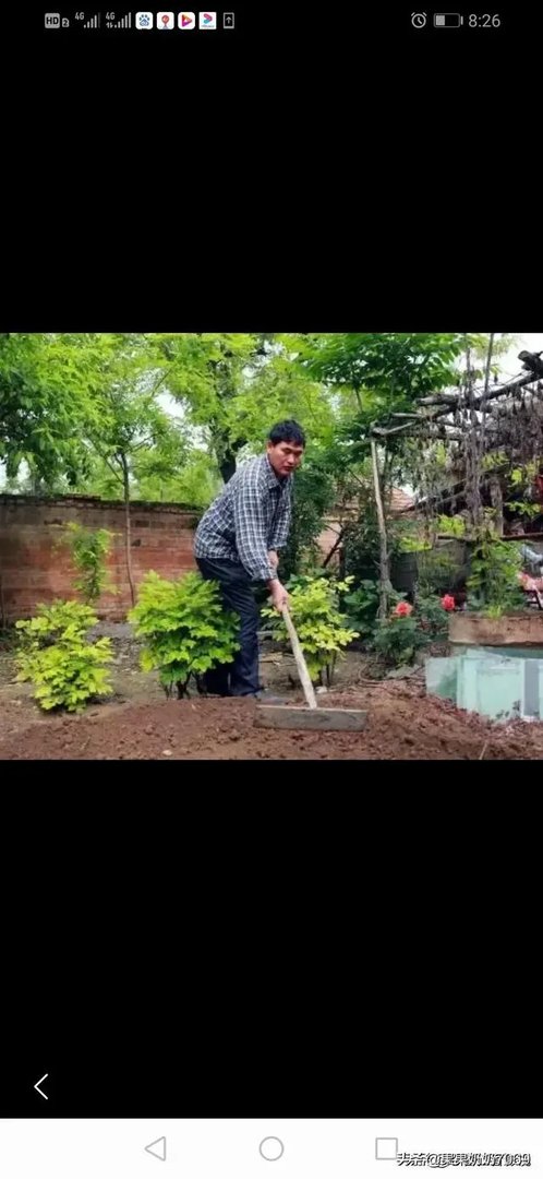 2020朱之文会再上春晚吗？为什么？