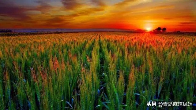 2月底之前，中小学生能不能到校学习？