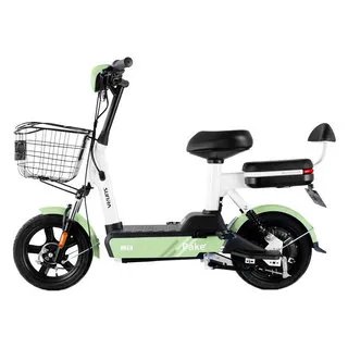 新日电动车电池价格