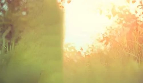 初夏的唯美诗句