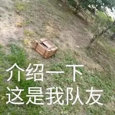 pubg哪个主播好看