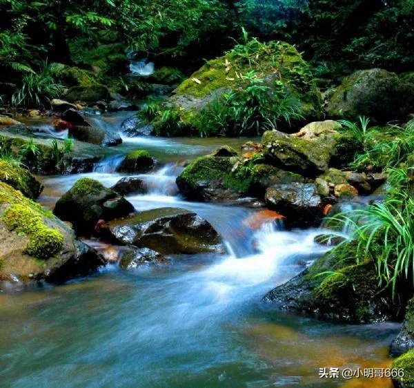 五一去崇义旅游,去玩过的驴友可以说下攻略吗?