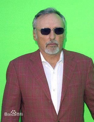 丹尼斯·霍珀的介绍