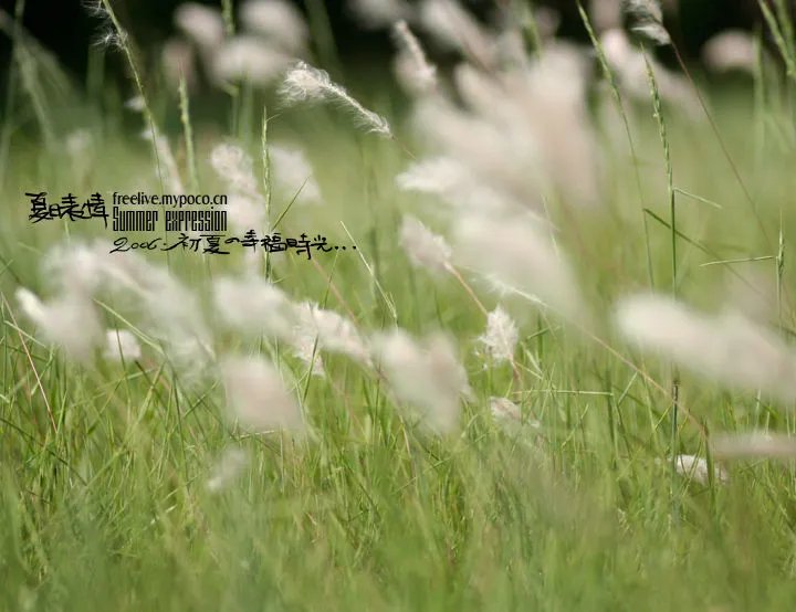 谁有很多非主流风景图的好看点的图片,最好要电脑全屏大的!
