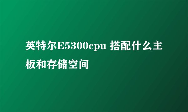 英特尔E5300cpu 搭配什么主板和存储空间