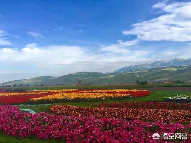 你印象中的大西北还是那个骑骆驼上学的景象吗,现在是什么样子的?