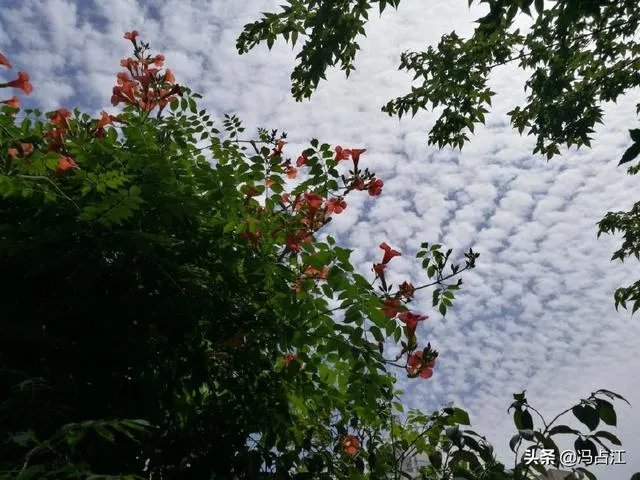 2020江苏高考英语大家估分多少？