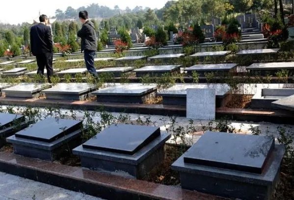 什么是陵园？陵园和公墓有什么区别？