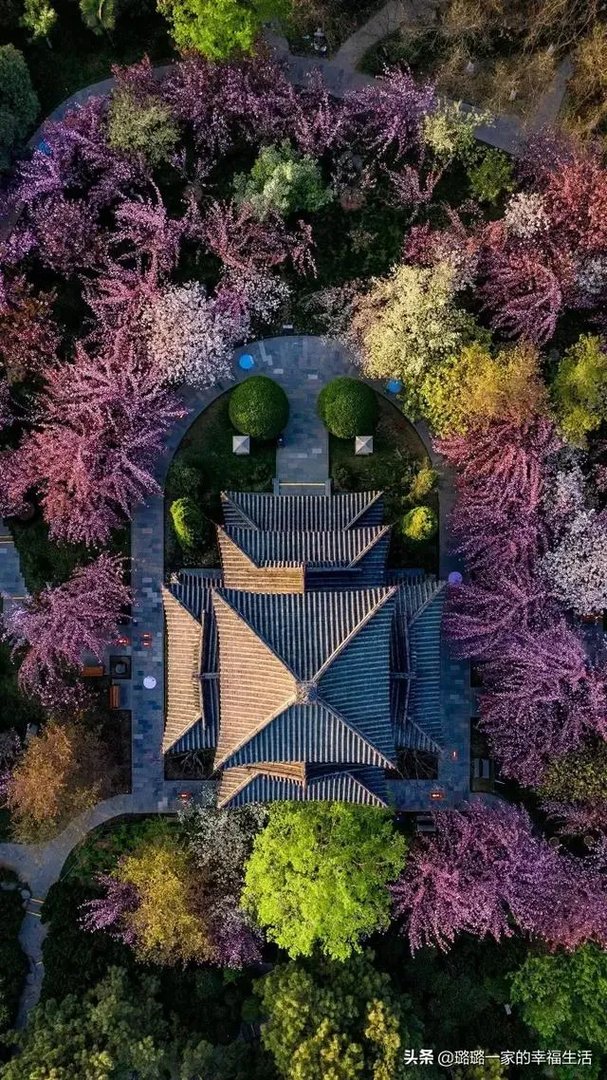 宁愿死也不愿在做穷人家孩子