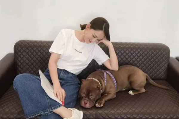 陈乔恩牵手男性友人被批，直接怼回去是否有失风度？