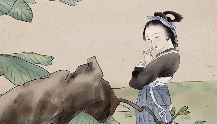 田螺姑娘的故事 田螺姑娘的故事简介