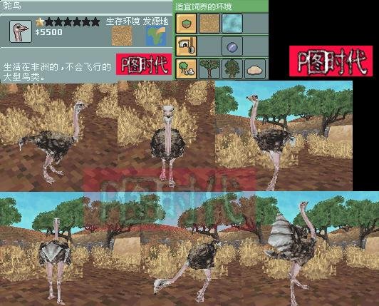 图文攻略 动物园大亨2