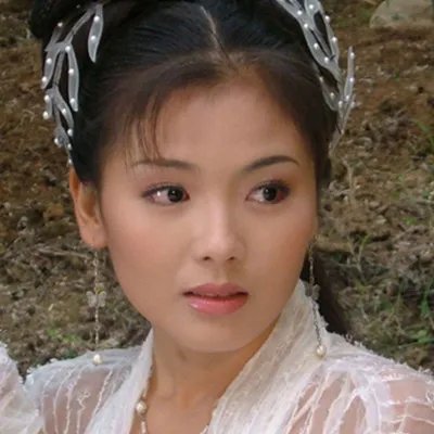 刘涛老公前妻照片曝光 美艳程度更胜国民媳妇