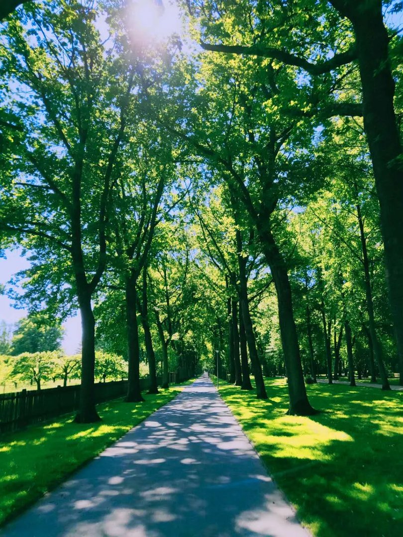 买个音乐节门票要等十年?德国这座城魅力非凡!