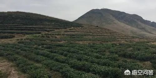 宁德有哪些旅游景点？