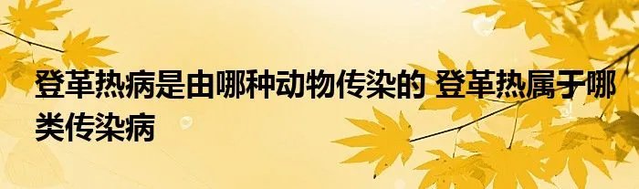 登革热病是由哪种动物传染的 登革热属于哪类传染病