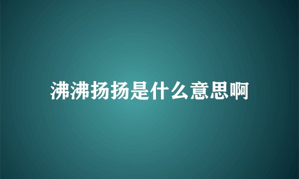 沸沸扬扬是什么意思啊