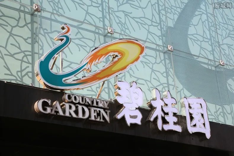 碧桂园2020房价6.5折 低价打折出售是真的？