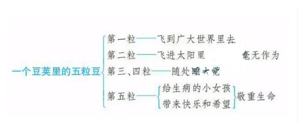 一个豆荚里的五粒豆思维导图怎么画