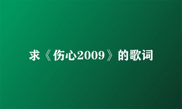 求《伤心2009》的歌词