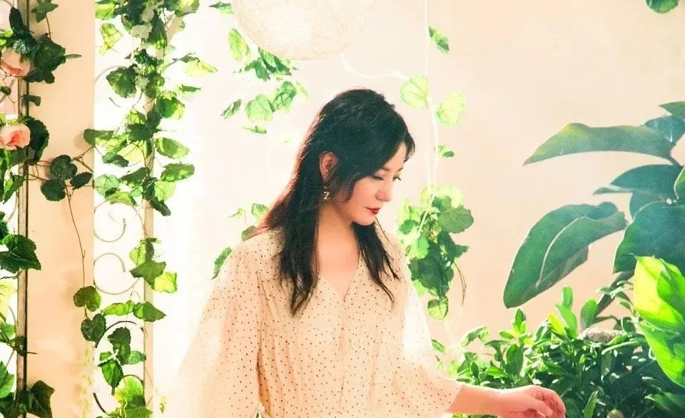 在《中餐厅》这个综艺节目里面，你最喜欢哪一个嘉宾？