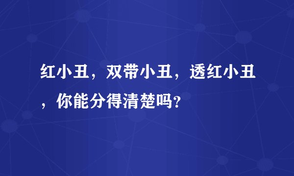 红小丑，双带小丑，透红小丑，你能分得清楚吗？