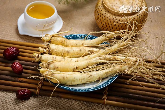 自制仓鼠磨牙石