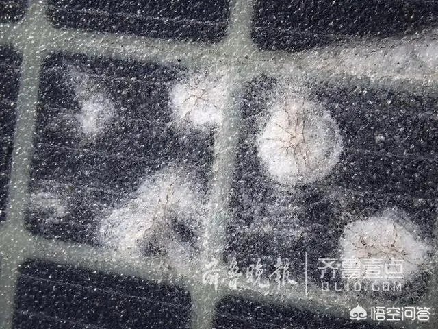 济南世界首条光伏高速公路上的太阳能电池板遭破坏,而且还被偷,这事你怎么看?