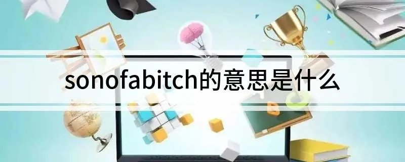 sonofabitch的意思是什么