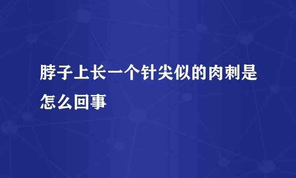 脖子上长一个针尖似的肉刺是怎么回事
