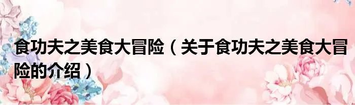 食功夫之美食大冒险（关于食功夫之美食大冒险的介绍）