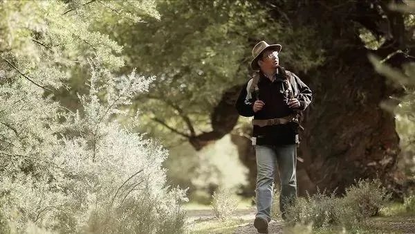 2018感动中国十大人物事迹及颁奖词