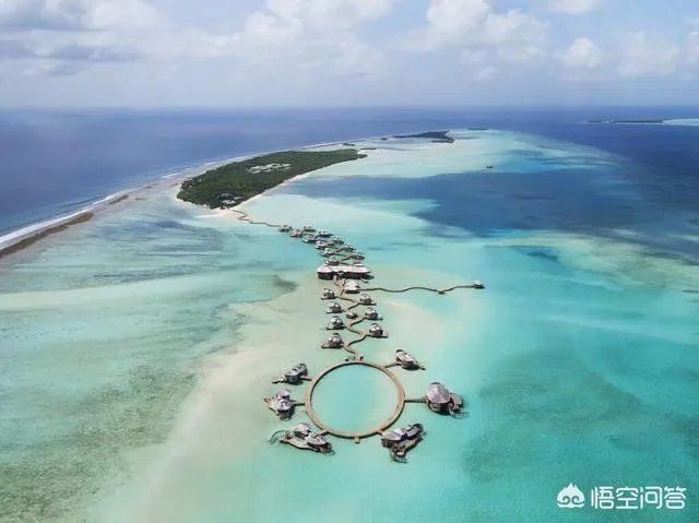 马尔代夫哪个岛适合度蜜月，而且价格方面比较划算些？