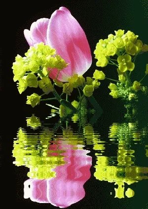 一般中秋都送什么礼物?