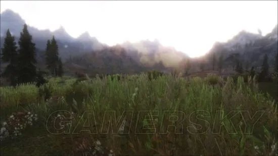 《上古卷轴5》提高画质方法详解 上古卷轴5怎样提高画质