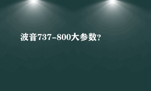 波音737-800大参数？