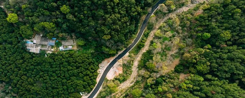 热带雨林气候特点 热带雨林有哪些气候特点