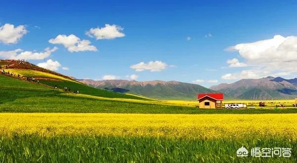 青海门源你去过吗？