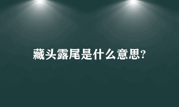 藏头露尾是什么意思?