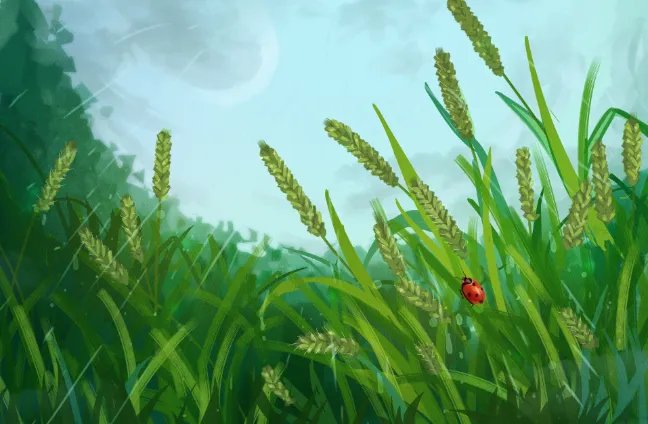 描写春雨的诗句 专门赞美春雨的诗有哪些