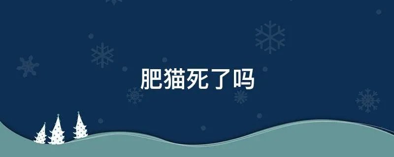 肥猫死了吗